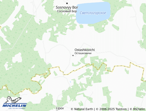 MICHELIN Ostashkovichi map - ViaMichelin