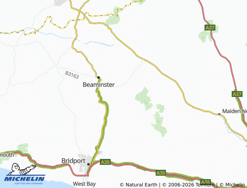 Carte MICHELIN Mapperton - ViaMichelin