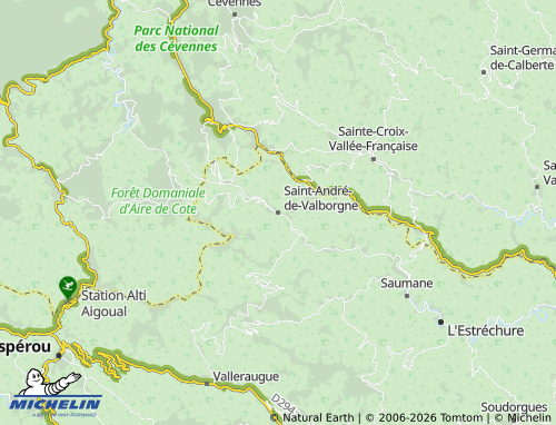 Mappa MICHELIN Saint-André-de-Valborgne - ViaMichelin