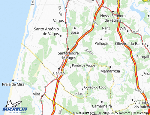 Mapa MICHELIN Ervedal - ViaMichelin