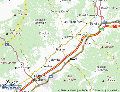 MICHELIN Pruské map - ViaMichelin