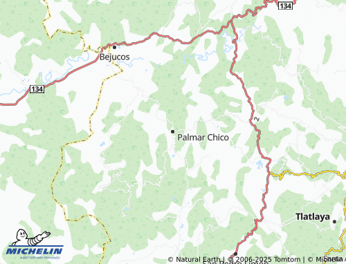 MICHELIN Palmar Chico map - ViaMichelin