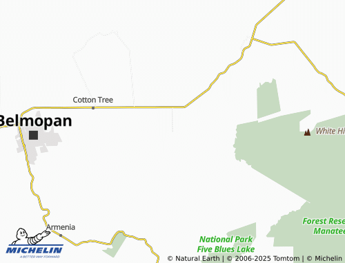 MICHELIN Frank's Eddy map - ViaMichelin