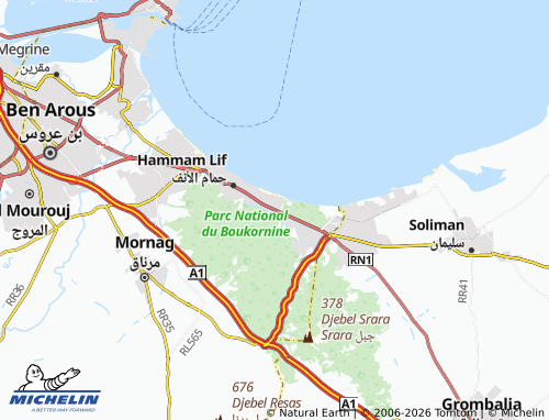 Mapa MICHELIN Hammam al-Shat - ViaMichelin