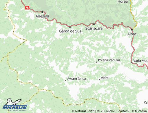 MICHELIN Păștești map - ViaMichelin