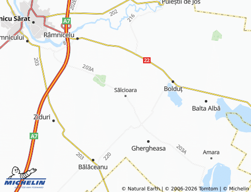 MICHELIN Sălcioara map - ViaMichelin