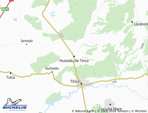 Mappa MICHELIN Husasău de Tinca - ViaMichelin