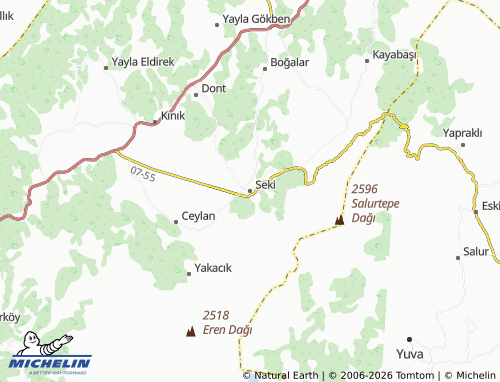MICHELIN Seki map - ViaMichelin