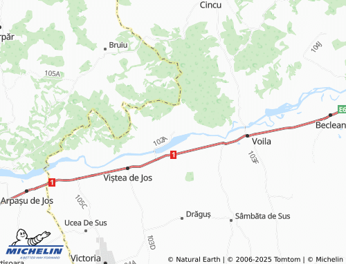 MICHELIN Rucăr map - ViaMichelin