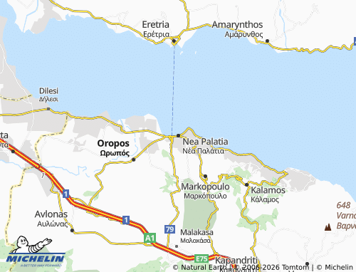Mapa MICHELIN Nea Palatia - ViaMichelin