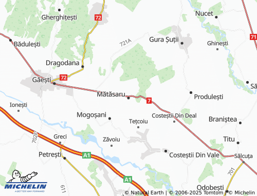 MICHELIN Mătăsaru map - ViaMichelin