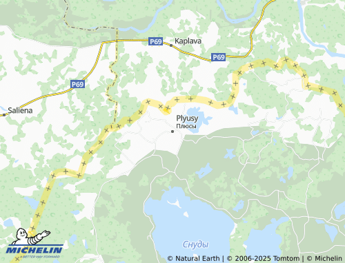 MICHELIN Plyusy map - ViaMichelin