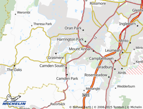 MICHELIN Elderslie map - ViaMichelin
