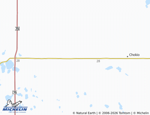 Mappa MICHELIN Johnson - ViaMichelin