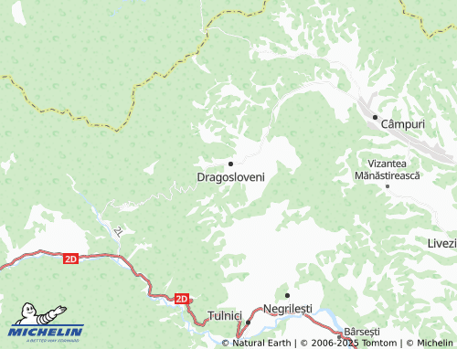 MICHELIN Rucăreni map - ViaMichelin