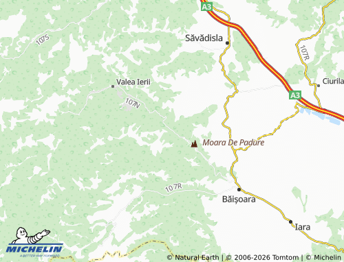 Carte MICHELIN Frăsinet - ViaMichelin