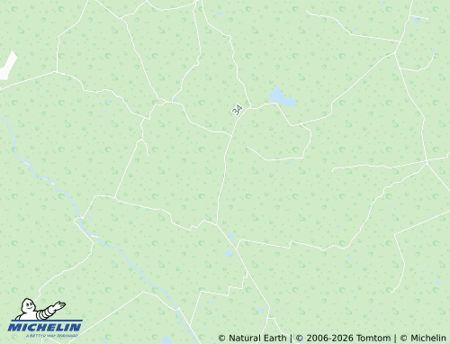 Mapa MICHELIN Magueyes - ViaMichelin