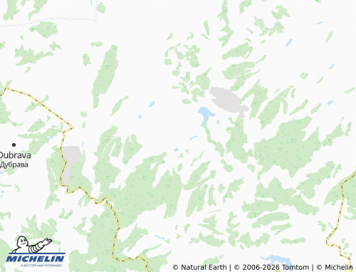 MICHELIN-Landkarte Tolmachevo - ViaMichelin