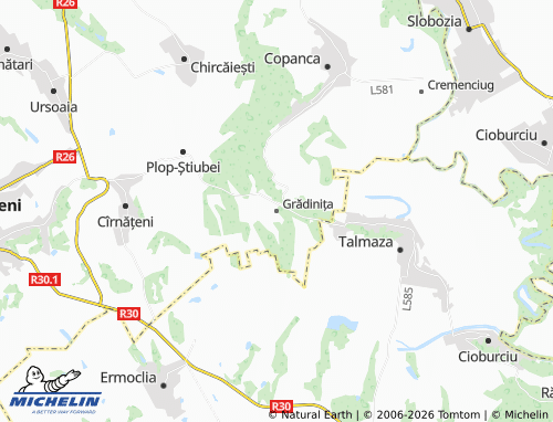 Mappa MICHELIN Grădinița - ViaMichelin