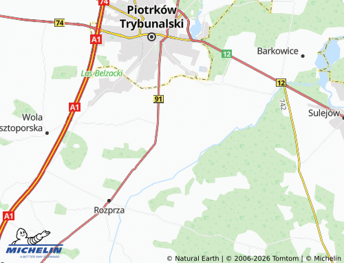 MICHELIN Milejów map - ViaMichelin
