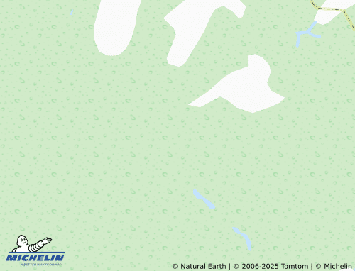 MICHELIN Porkhovo map - ViaMichelin