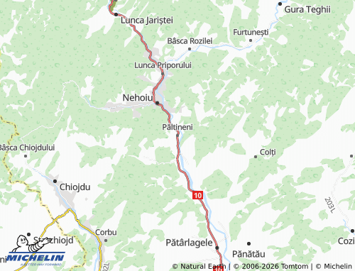 Mappa MICHELIN Păltineni - ViaMichelin