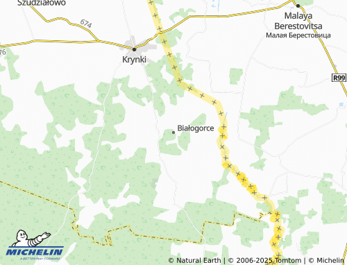 MICHELIN Białogorce map - ViaMichelin
