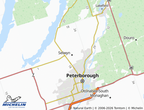 Carte MICHELIN Selwyn - ViaMichelin
