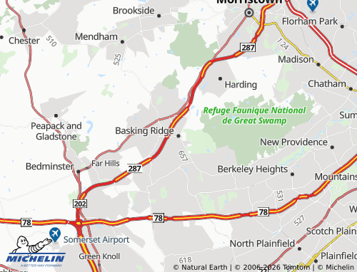 Mapa MICHELIN Basking Ridge - ViaMichelin