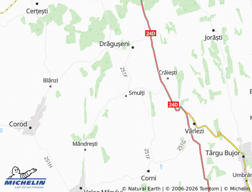 MICHELIN Smulți map - ViaMichelin