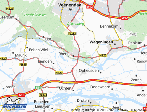 Mapa MICHELIN Rhenen - ViaMichelin