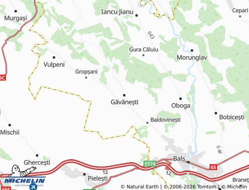 MICHELIN Găvănești map - ViaMichelin