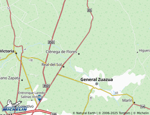 MICHELIN Centro de Ciénega de Flores map - ViaMichelin