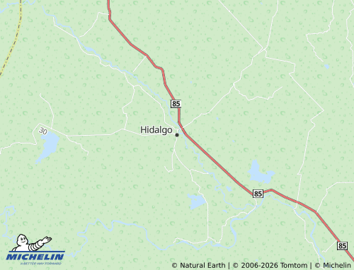 MICHELIN Hidalgo map - ViaMichelin