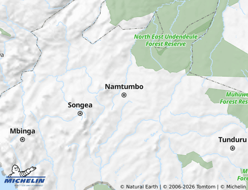 Mappa MICHELIN Namtumbo - ViaMichelin
