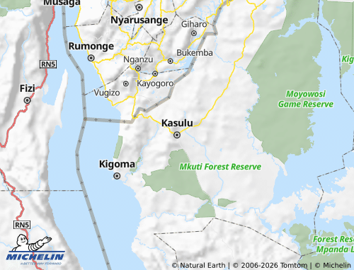 MICHELIN Kasulu map - ViaMichelin