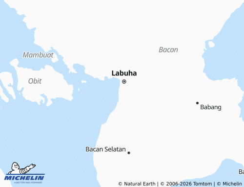 MICHELIN Mandaong map - ViaMichelin