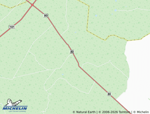 Mappa MICHELIN Nuevo San Rafael - ViaMichelin