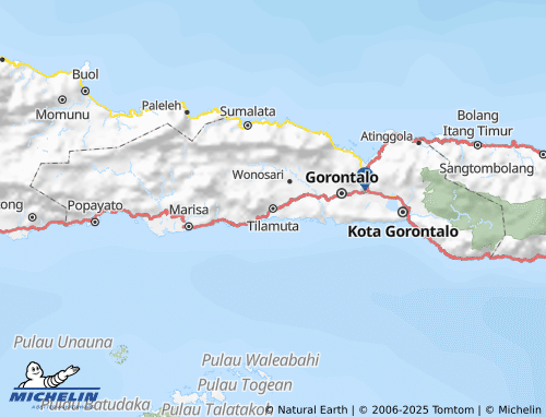 MICHELIN Boalemo map - ViaMichelin