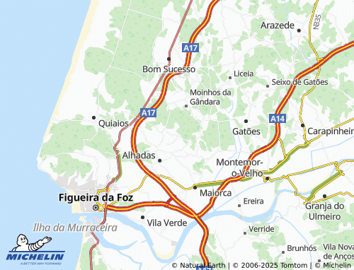 Mappa MICHELIN Mata da Costeira - ViaMichelin
