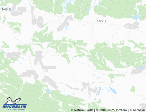 MICHELIN Velykyi Kobylyn map - ViaMichelin