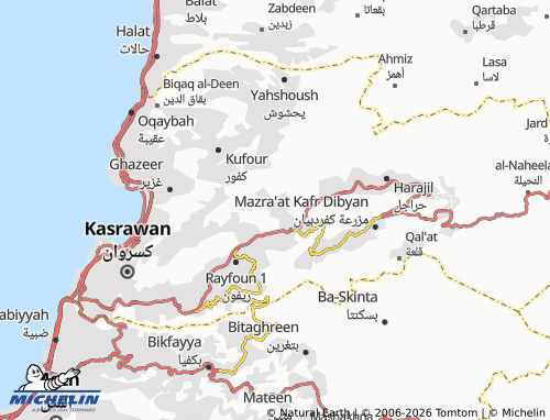 Mapa MICHELIN Baq'at Ashqout - ViaMichelin