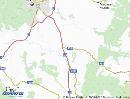 MICHELIN Radko Dimitrievo map - ViaMichelin