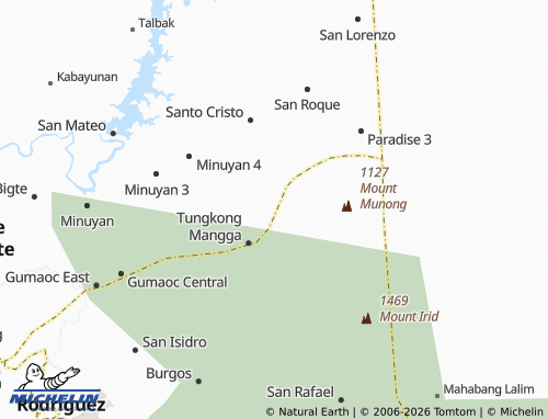 MICHELIN Ciudad Real map - ViaMichelin