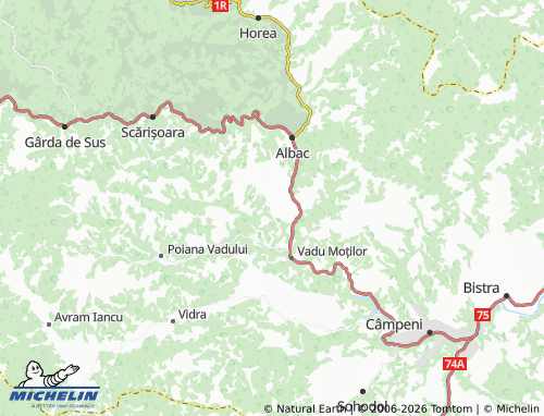 MICHELIN Poduri-Bricești map - ViaMichelin