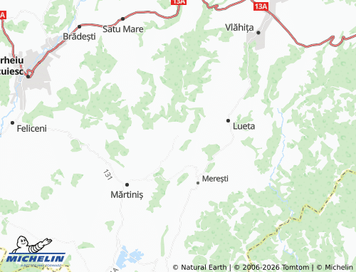 MICHELIN Comănești map - ViaMichelin