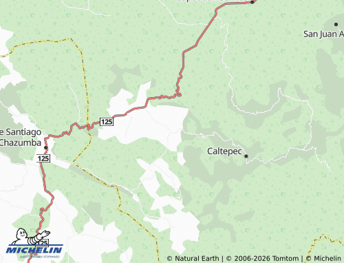 Carte MICHELIN Atecoxco - ViaMichelin