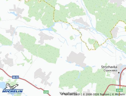 Mappa MICHELIN Pidlisne - ViaMichelin
