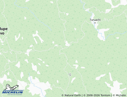 Mappa MICHELIN El Ocote - ViaMichelin