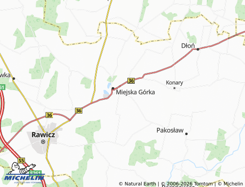 MICHELIN Dąbrowa map - ViaMichelin